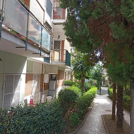 Gemelli - Borgia Roma