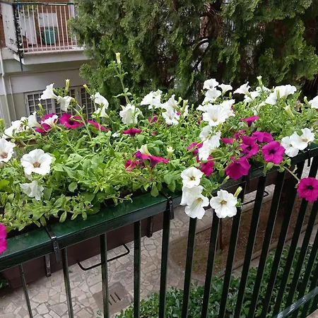 Appartamento Gemelli - Borgia