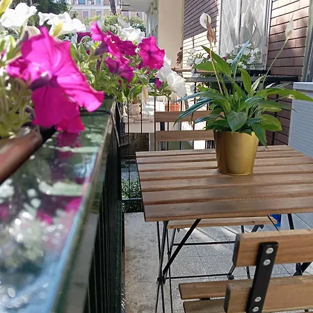 Gemelli - Borgia Roma